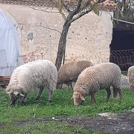 Maison De Campagne A La Ferme Pillac Exteriér fotografie