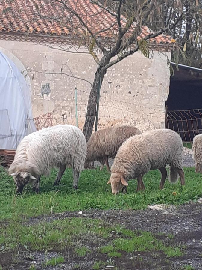 Maison De Campagne A La Ferme Pillac Exteriér fotografie